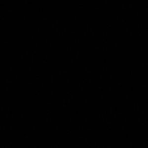 Meet your Posher, Quincy